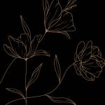 beauteserenite Fr profile picture