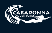 Scuba Diving in the British Virgin Islands – Top Dive Sites & Reefs
