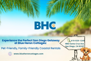 Pet-Friendly Accommodations in San Diego: Travel Comfortably with Your Pets