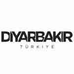 Diyarbakır **** profile picture