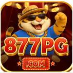 877pg Profile Picture