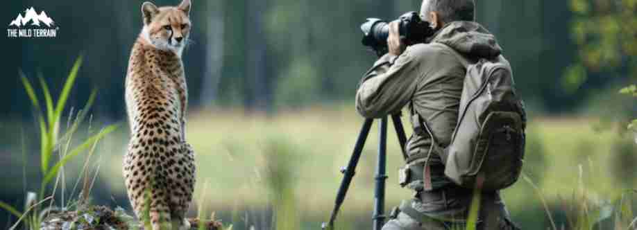 The Wild Terrain Cover Image