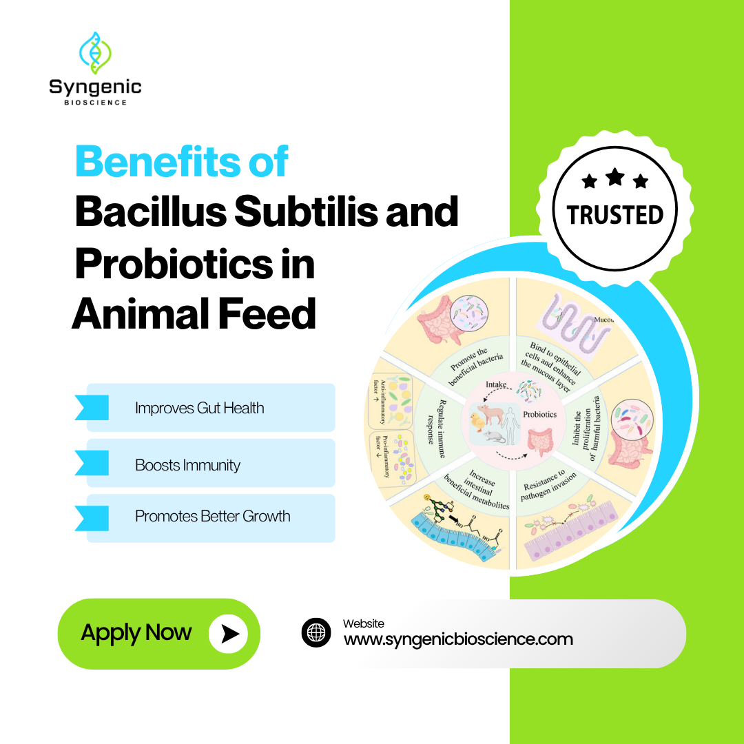 Benefits of Bacillus Subtilis and Probiotics in Animal Feed