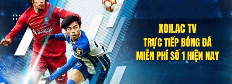 lytuongnet xoilac Cover Image