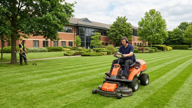 What Does School Grounds Maintenance Include? Services Explained Article
