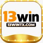 13Wintx com Profile Picture