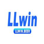 Llwin beer Profile Picture