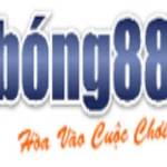BONG88 Lipaugmentation Profile Picture