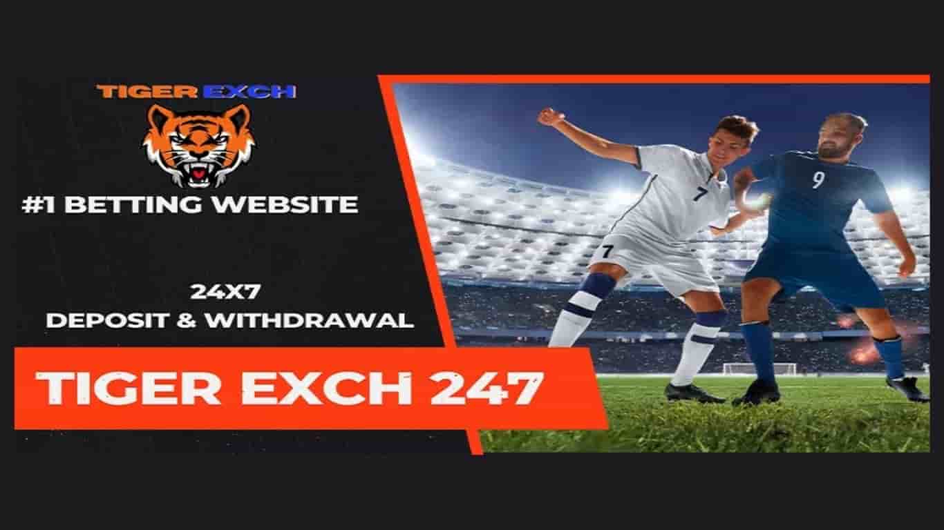 Beginner’s Guide to Tiger Exchange 247 Deposit & Withdrawal