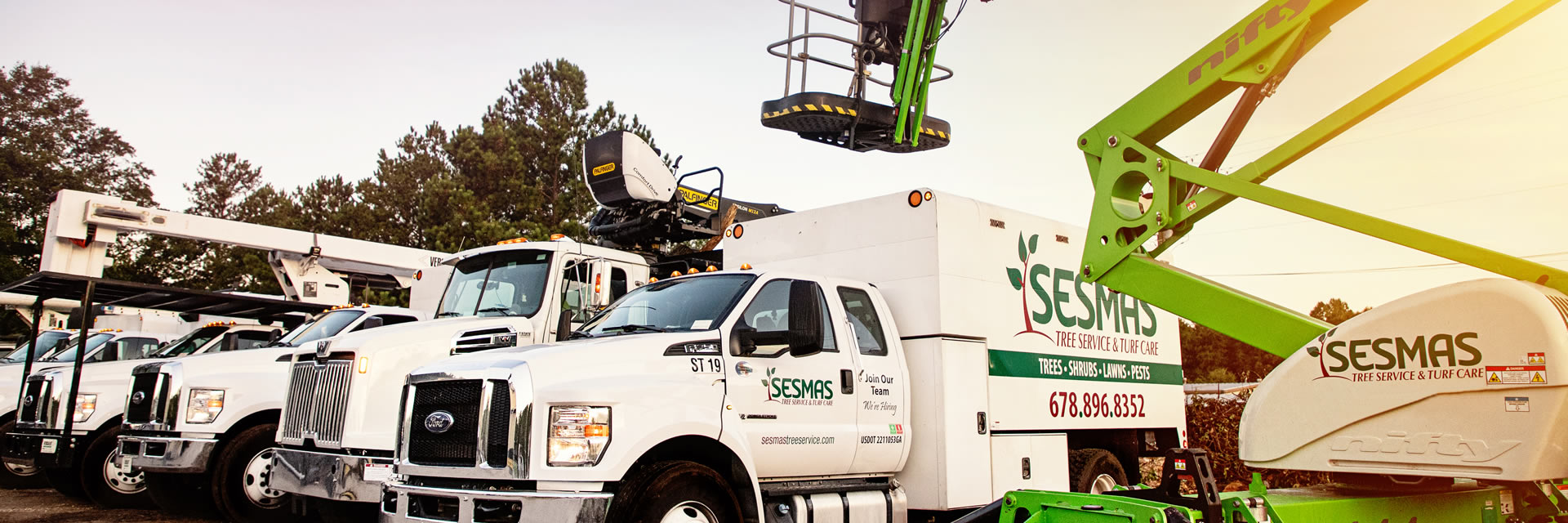 Professional Tree Removal Service in Marietta, GA | Sesmas Tree Service