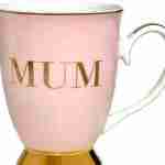 NoosaBasics Profile Picture