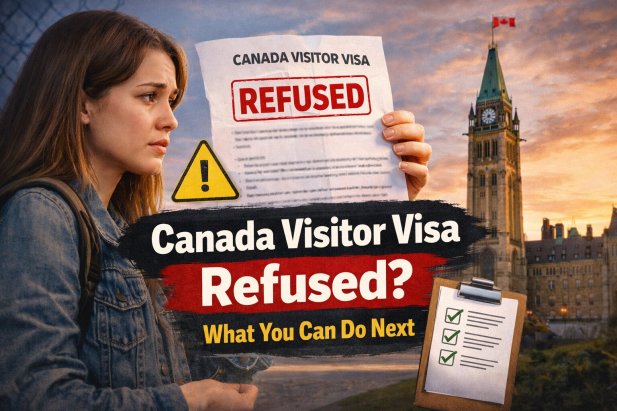 Visitor Visa Refusal Canada: What Applicants Should Do Next Article - ArticleTed -  News and Articles