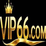 VIP66 Profile Picture