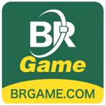 brgame Profile Picture