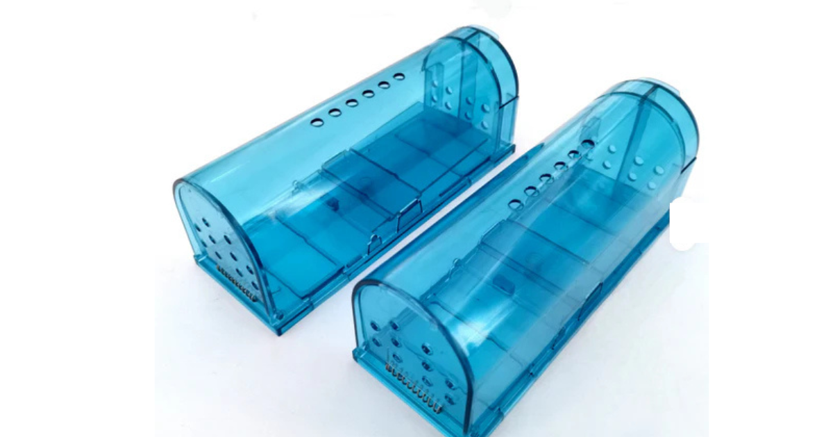 Affordable Rat Traps for Sale in Newry for Effective Pest Control