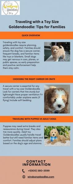 Traveling with toy size goldendoodles require planning, safety, and co