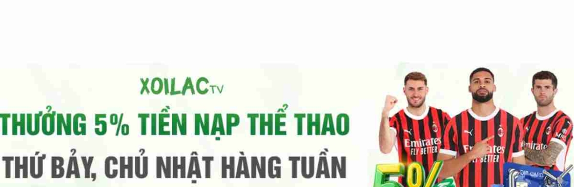 mnplegalcom Cover Image