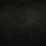 David Warnie Profile Picture