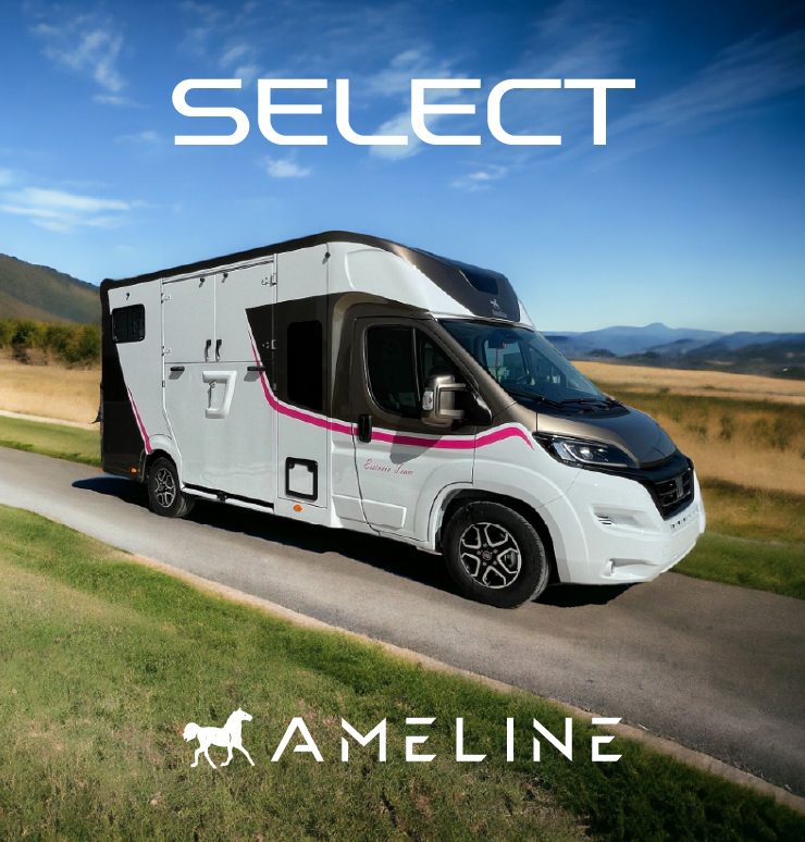 Horse Box Benefits for Modern Horse Owners and Professional Riders - Digi News Feed