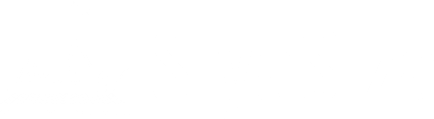 Logistics Company & Freight Forwarder in Ahmedabad | SiyaSiza