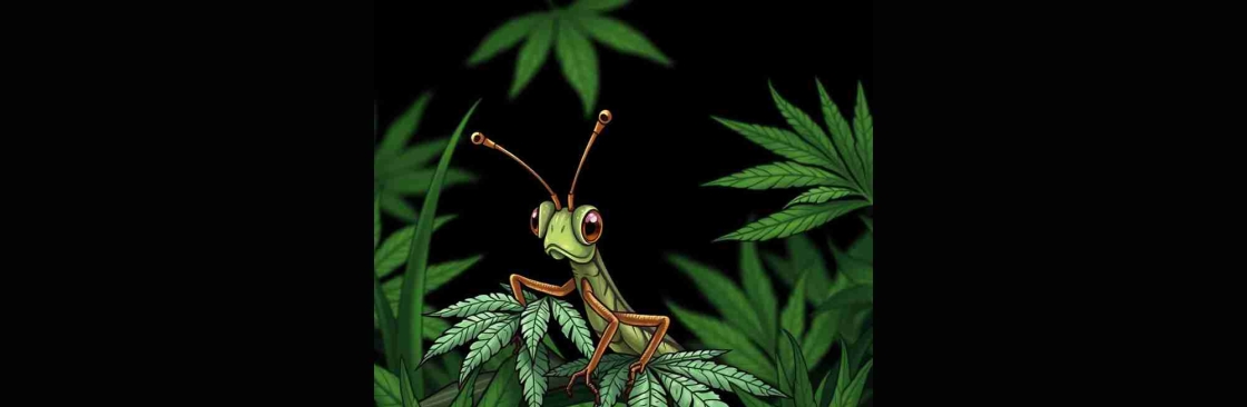 Grasshopper Canna Cover Image