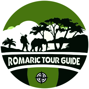 Safari Adventure