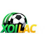 xoilactvv org Profile Picture