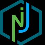 NijWeb Solutions Profile Picture