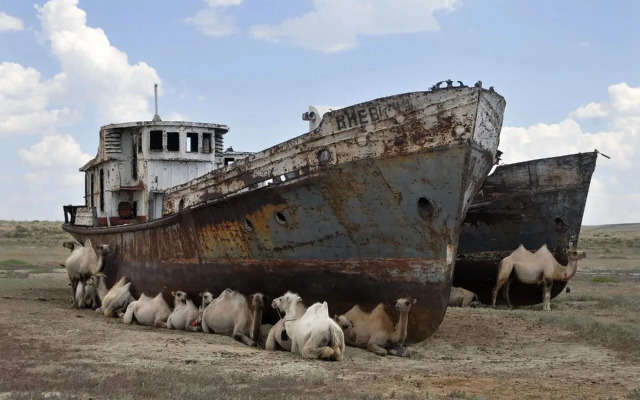 Ghost Ships and Golden Dunes: Three Days on an Aral Sea Tour – @amudiscovery on Tumblr