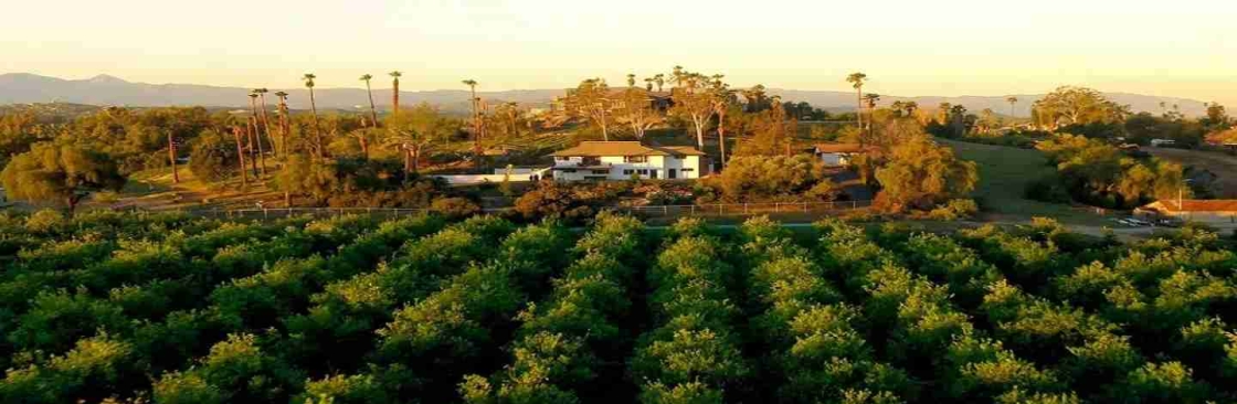 pH Wellness Alcohol and Drug Rehab Riverside California Cover Image
