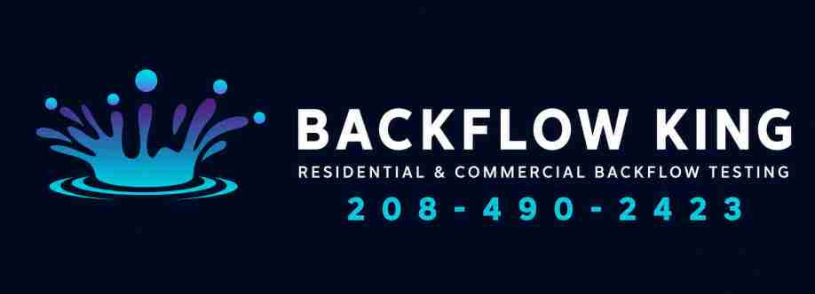 Backflow king Cover Image