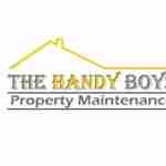 The Handy Boys Profile Picture