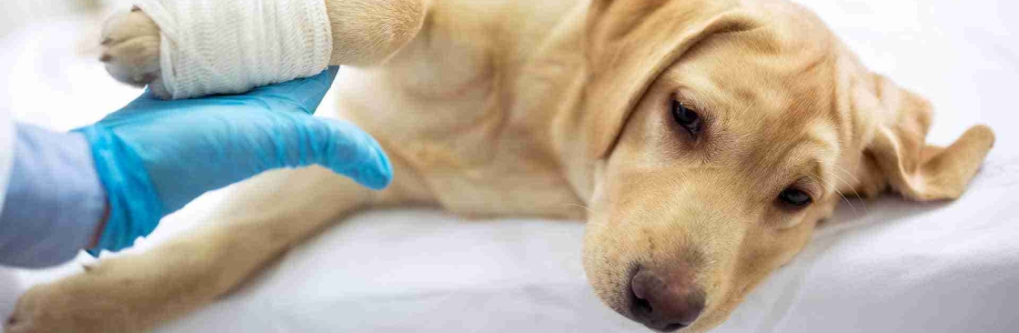 Dry Creek Veterinary Hospital Cover Image