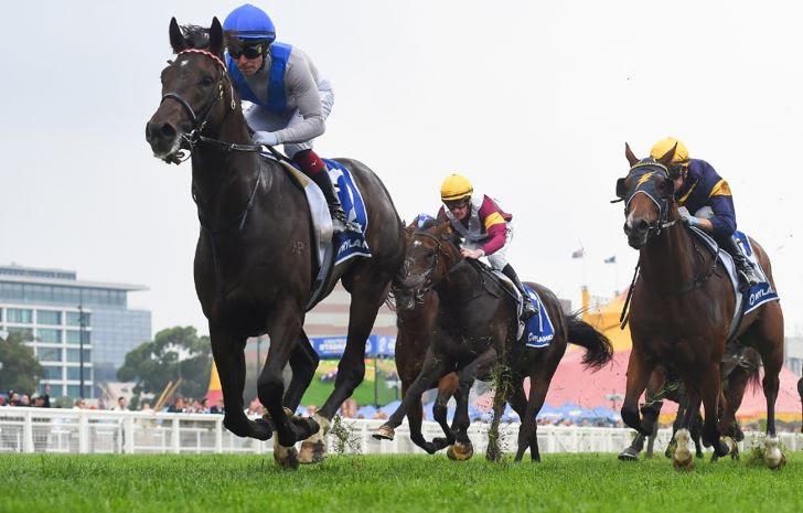 Why Perth Horse Racing Reviews Matter | Expert Insights Before You Bet