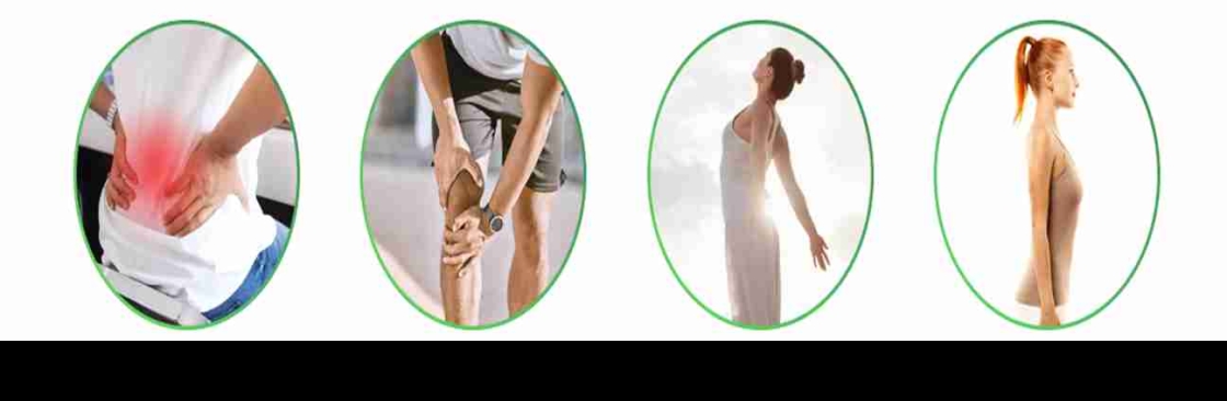 The Holistic Move Cover Image
