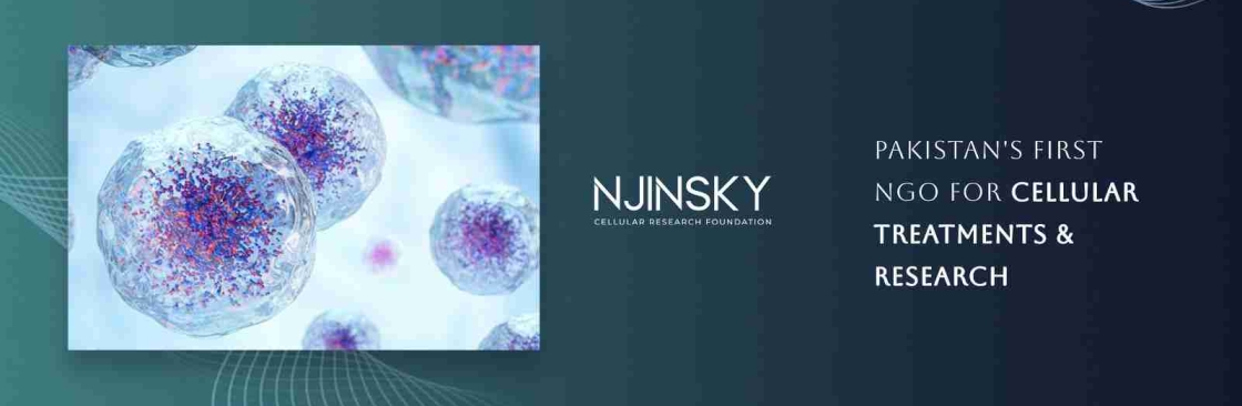 Njinsky Foundation Cover Image