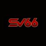 sv66 commx Profile Picture