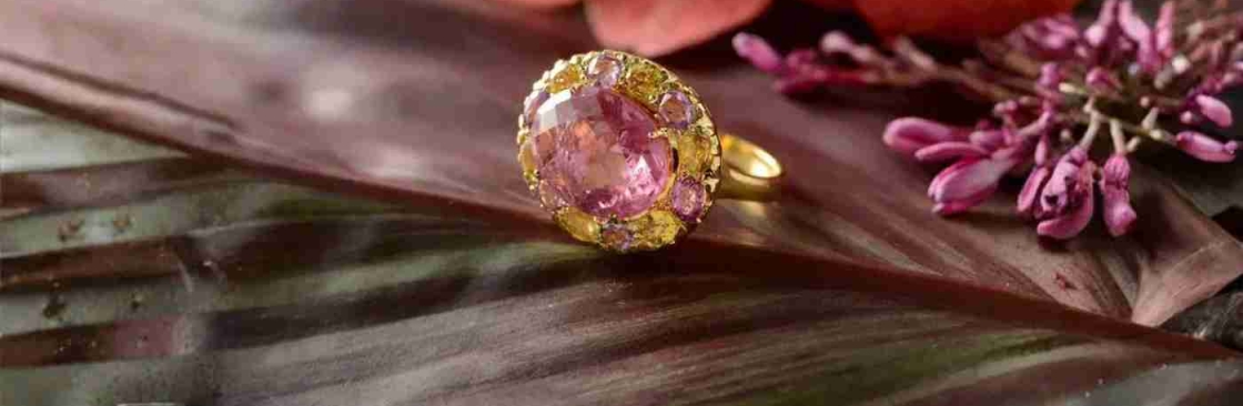 Emma Chapman jewels Cover Image