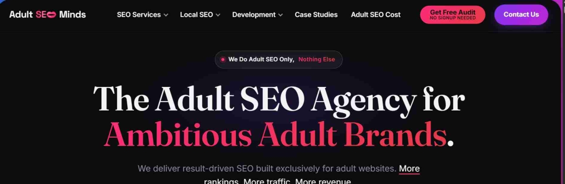 Adult SEO Minds Cover Image