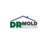 DR Mold Solutions profile picture