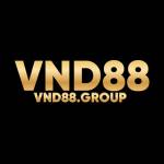VND88 Profile Picture
