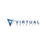 Virtual Velocity Profile Picture