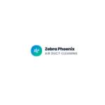 Zebra Phonix Air Duct Cleaning Profile Picture