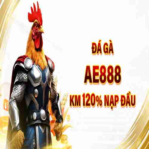 Trai Ga Bao Sting Profile Picture