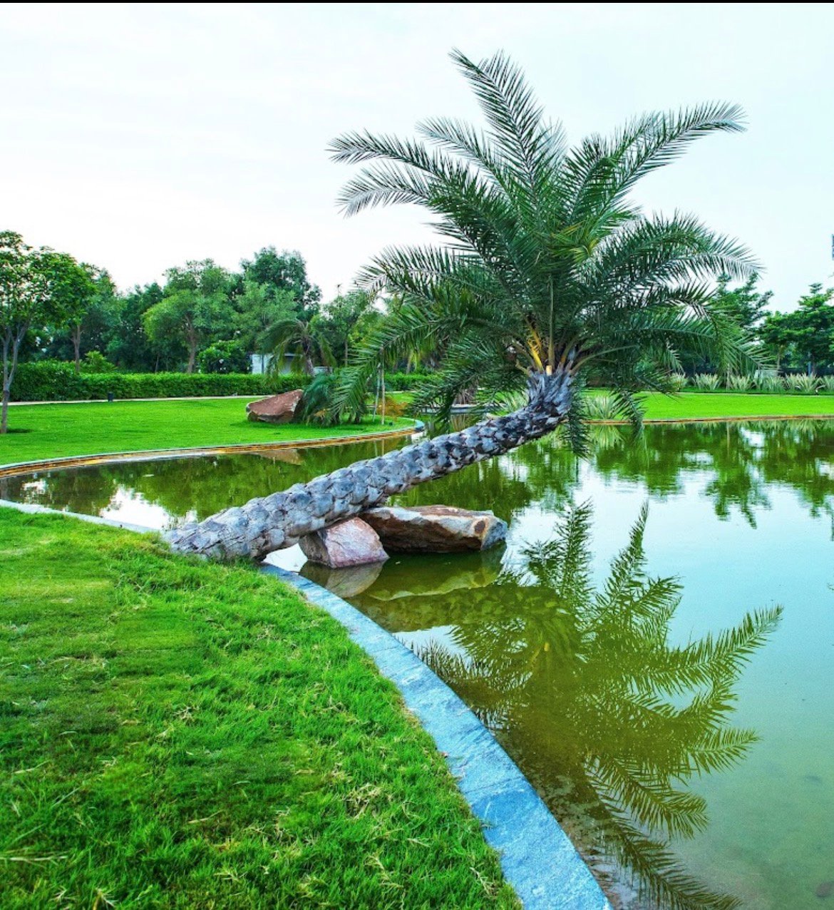 Millgrove Sector 76 Gurgaon | Plots For sale, Price image