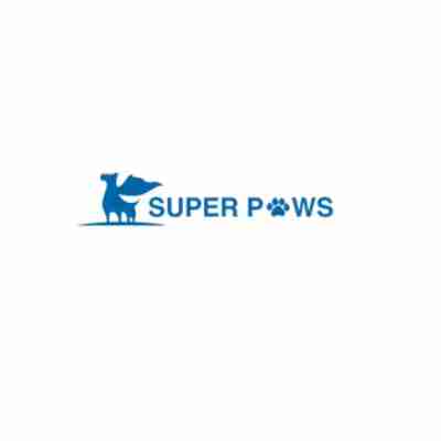 Super Paws SG Profile Picture