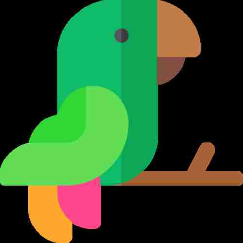 international parrotlet societyorg Profile Picture