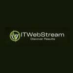 IT Web Stream Profile Picture