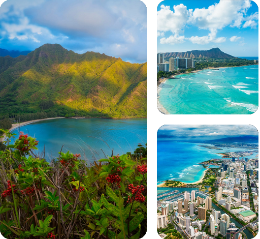 Fly to Honolulu Hawaii from NZ – Planning Your Dream Trip on a Budget