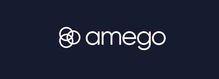 Amego USA Cover Image
